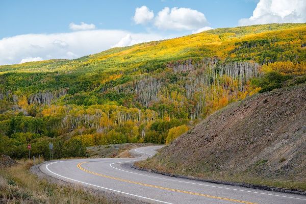 Davidson, Janell 아티스트의 USA-Utah Highway winding through Dixie National Forest-Aspen Fall colors작품입니다.